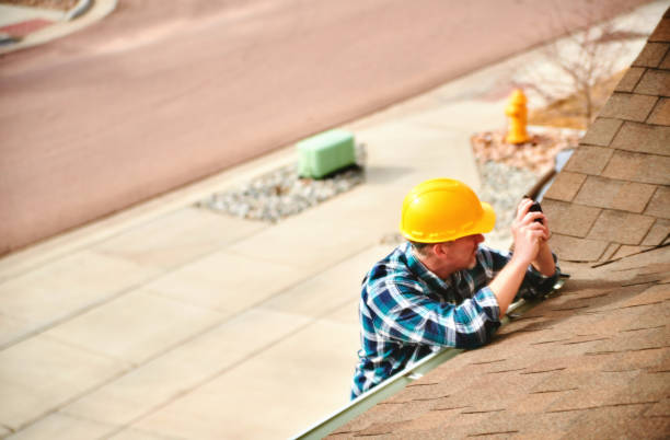 Best Roof Gutter Cleaning  in Kodi, AK