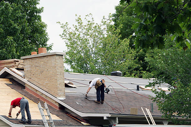 Best Gutter Installation and Roofing  in Kodi, AK