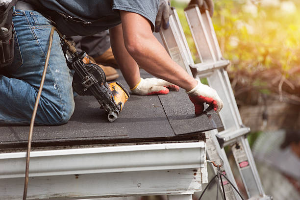 Best Shingle Roofing Installation  in Kodi, AK