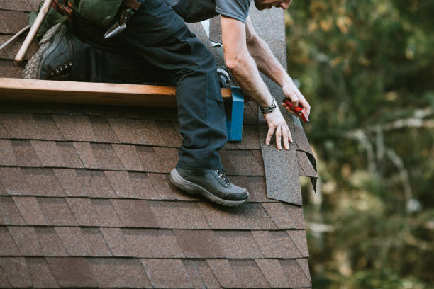 Best Roof Gutter Cleaning  in Kodi, AK